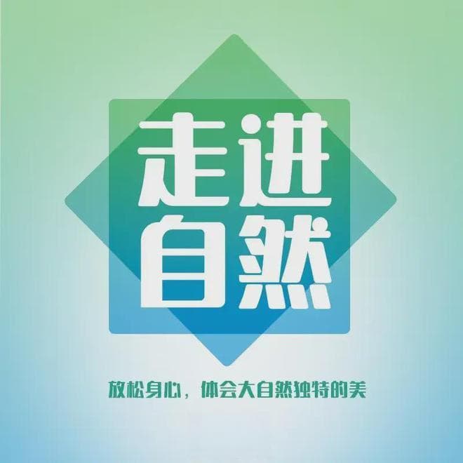 试试《人民日报》恢复灵气的7种方法，让你能量满满