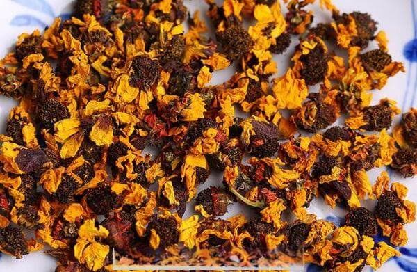 昆仑雪菊的药用价值是什么 昆仑雪菊功效及用法