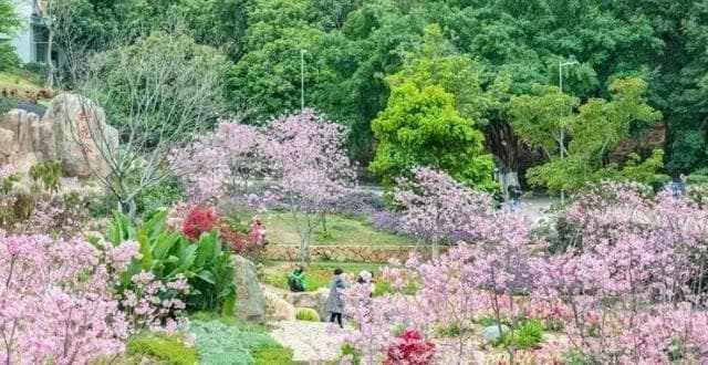 花城、花县、花洲、花地……这些广州地名是怎么来的？