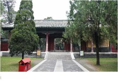 礼仪中国 —— 体验“三孔”传统礼乐文化