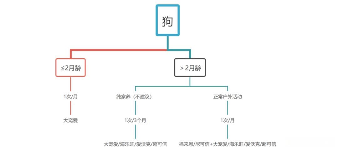 业内人士详解：2024版宠物驱虫全攻略