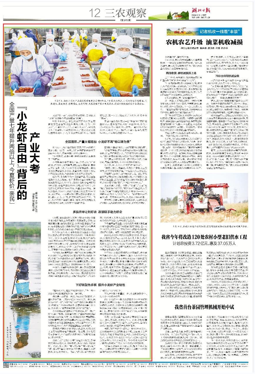 小龙虾价格走低背后的产业转型之路