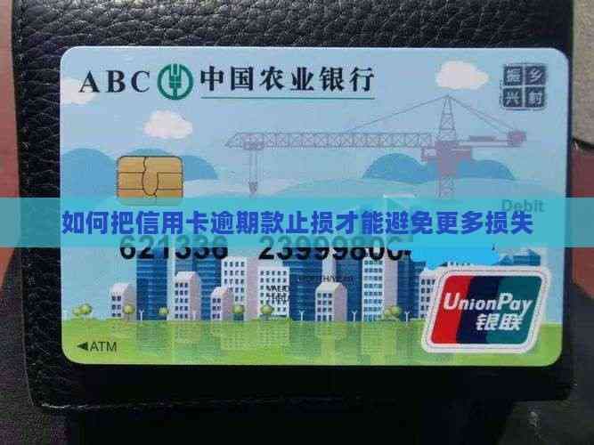 如何把信用卡逾期款止损才能避免更多损失
