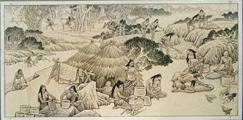 人类在历史上真的经历过长达35000年的母系社会吗？