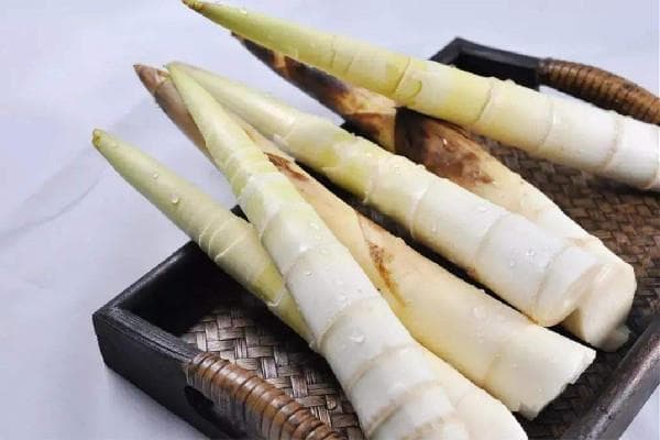 春笋食用全攻略：这些人群不宜食用，这些食物不能同食