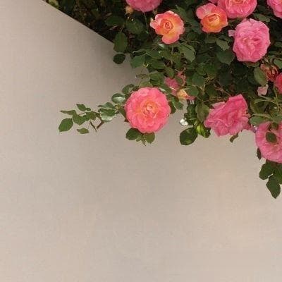 蜗居文化：都市年轻人的居住选择