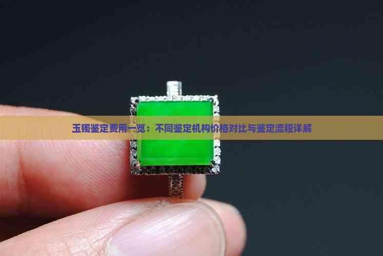 玉镯鉴定费用一览：不同鉴定机构价格对比与鉴定流程详解