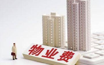 属马和属鼠：一场热情与智慧的碰撞