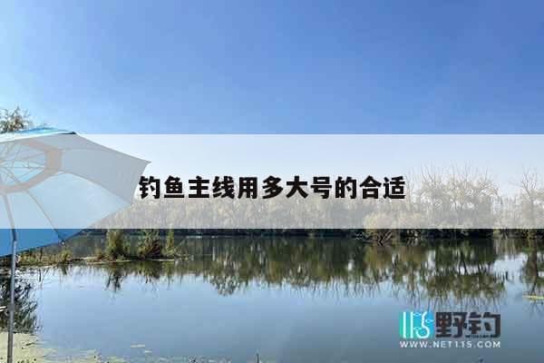 钓鱼主线用多大号的合适