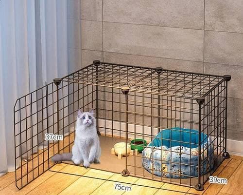 猫咪笼养全攻略：让爱猫在笼子里也能感到自在