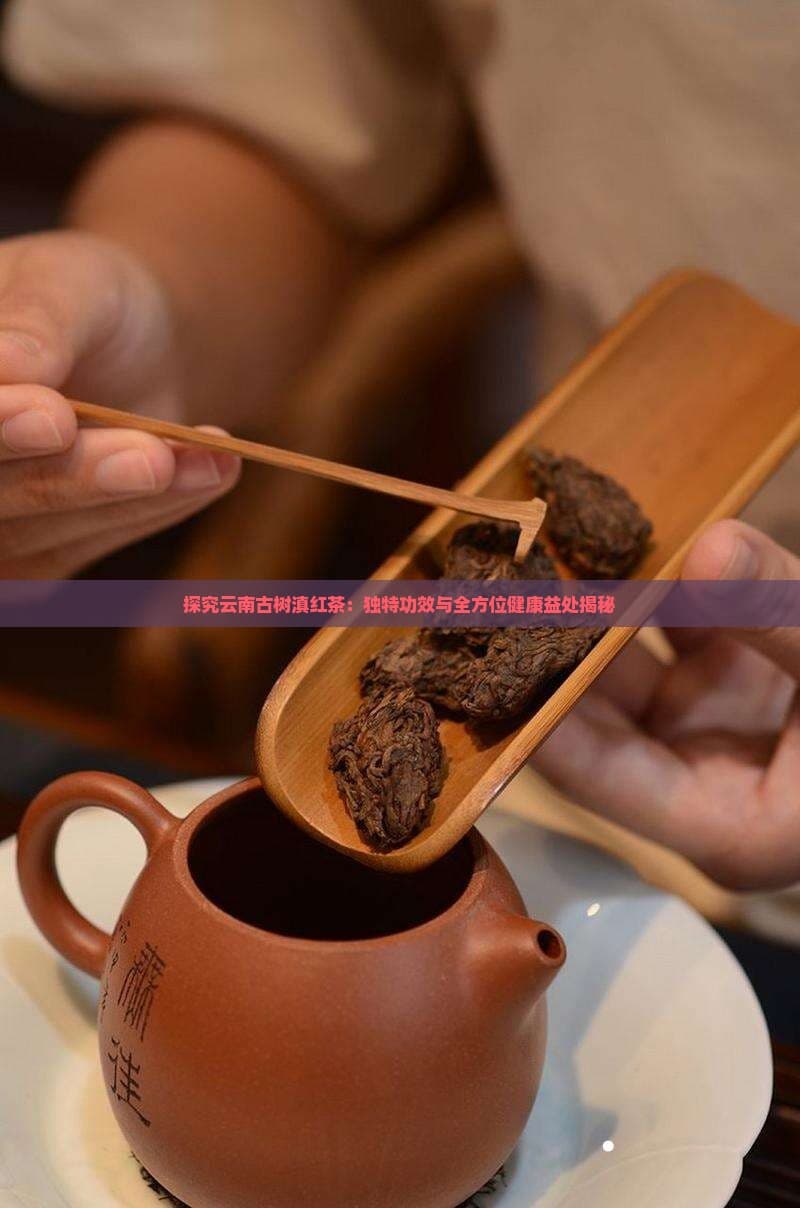 探究云南古树滇红茶：独特功效与全方位健康益处揭秘