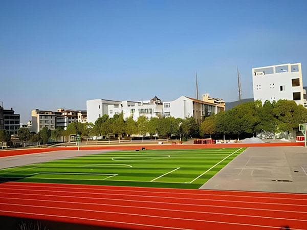 沈阳小学入学年龄2024年是多少岁