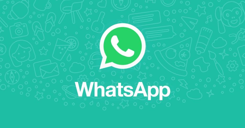 为什么我的WhatsApp收不到信息？