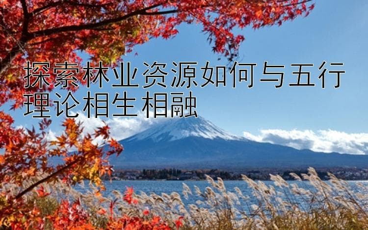 探索林业资源如何与五行理论相生相融