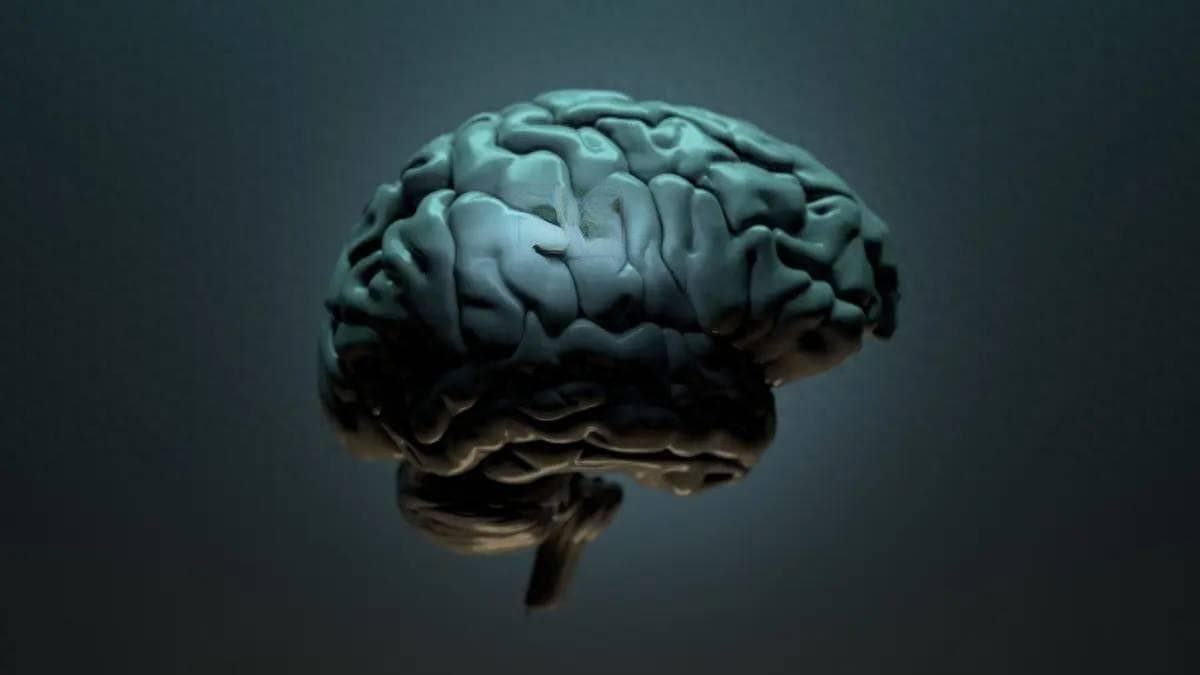 中国科学家研发世界首个双向脑机接口，效率提升100倍