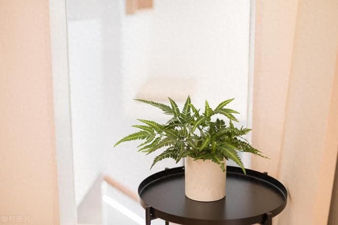 父母最大的远见：在子女结婚之前，给出这3个“提醒”，很重要