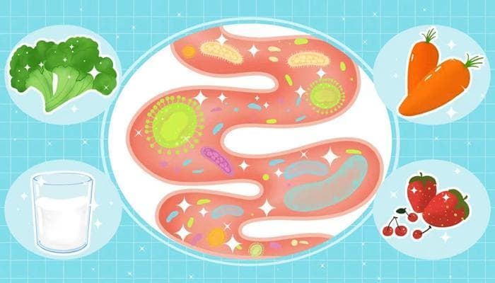 你的肠道还好吗？| 世界肠道健康日