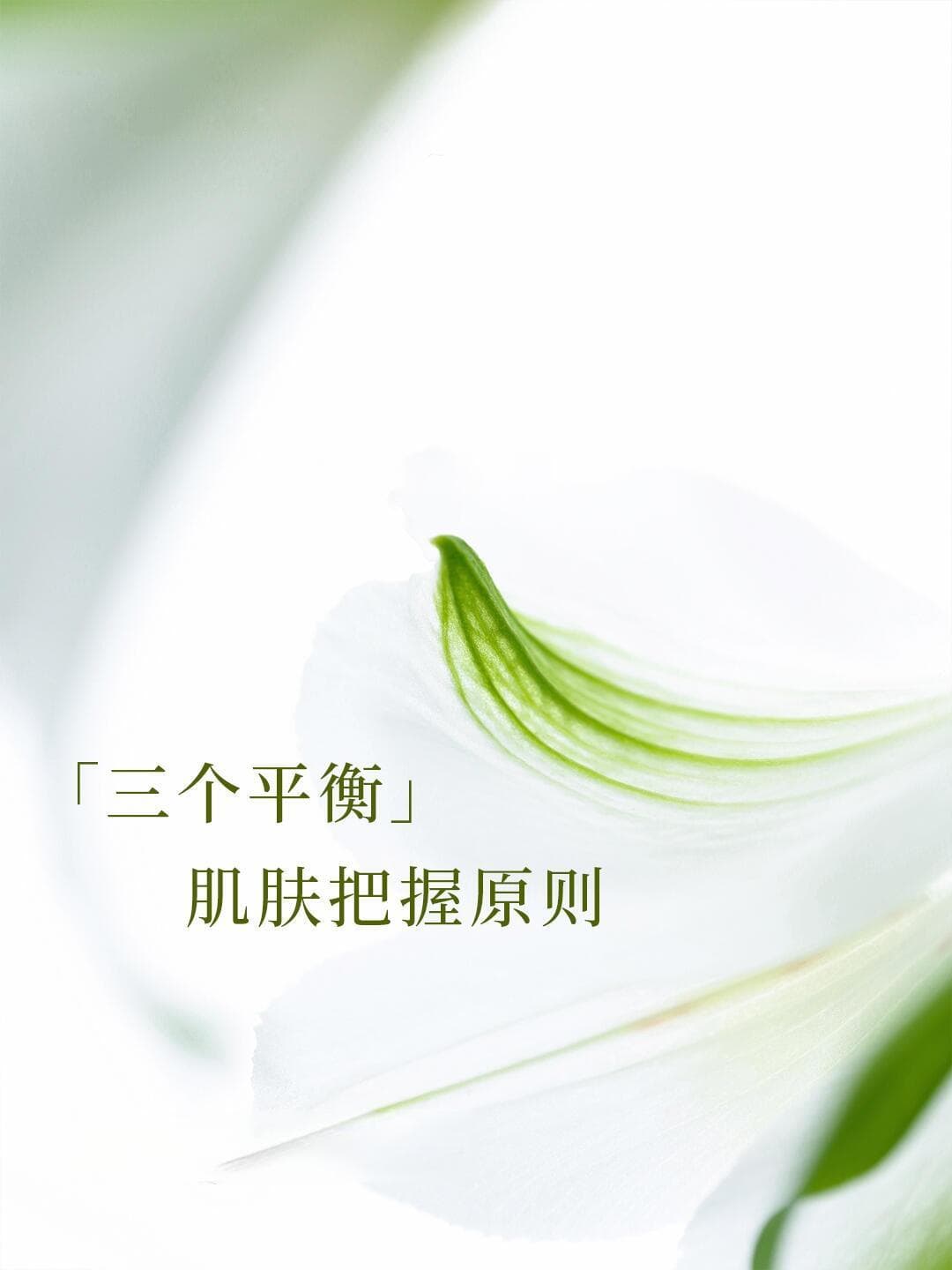 解锁肌肤密钥：守护“三个平衡”，焕发自然光彩