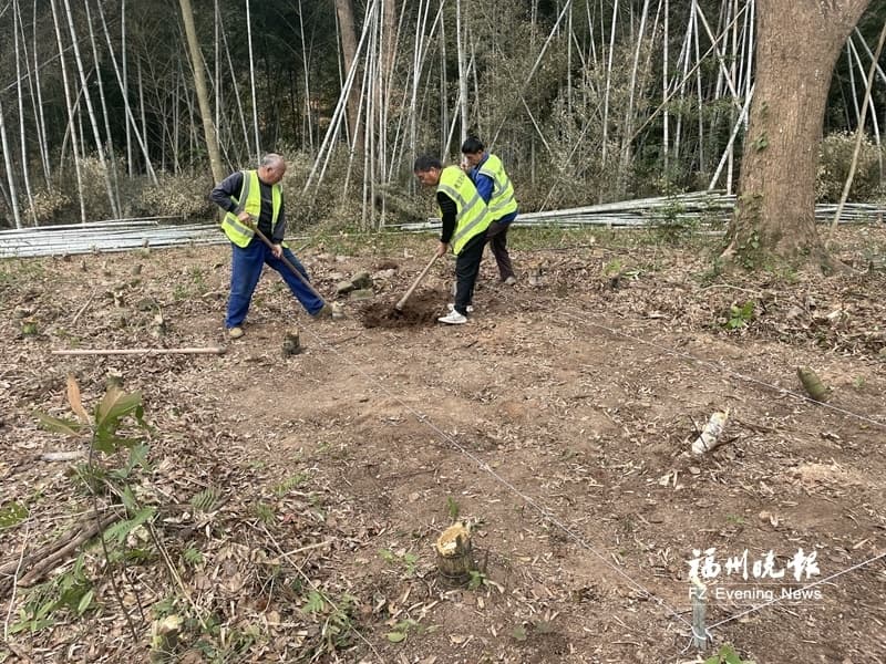 福清南少林周边考古调查勘探启动 曾出土大量珍贵文物