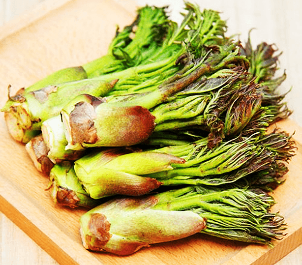 东北人的山野菜情结