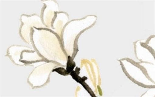 双子座女生性格特点深入解析：寻找双子座女性的性格魅力