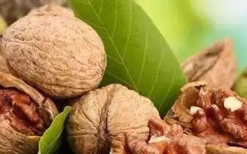 药食同源 | 抗衰老之王——核桃