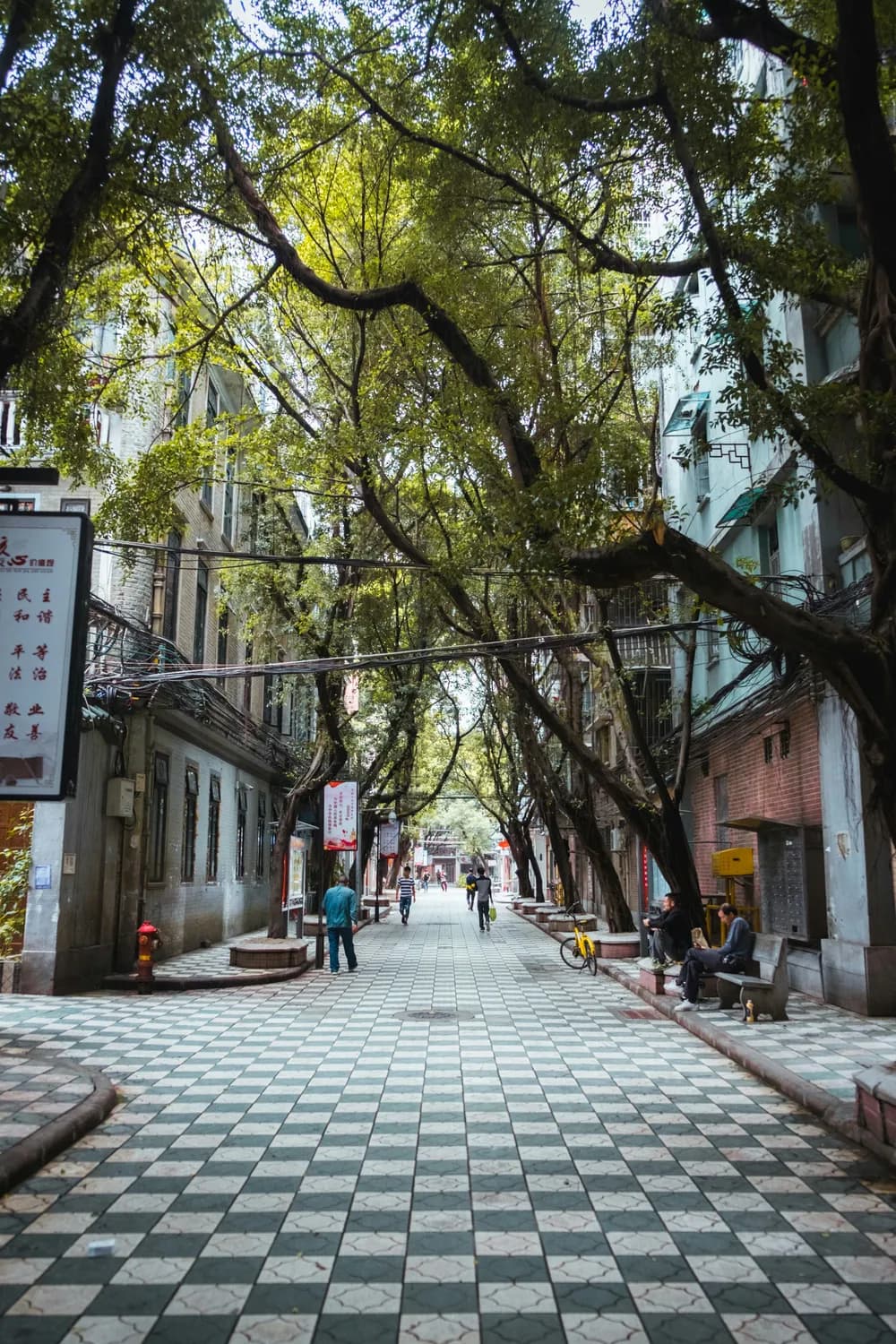 恩宁路和逢源大街：广州荔湾的文化宝藏