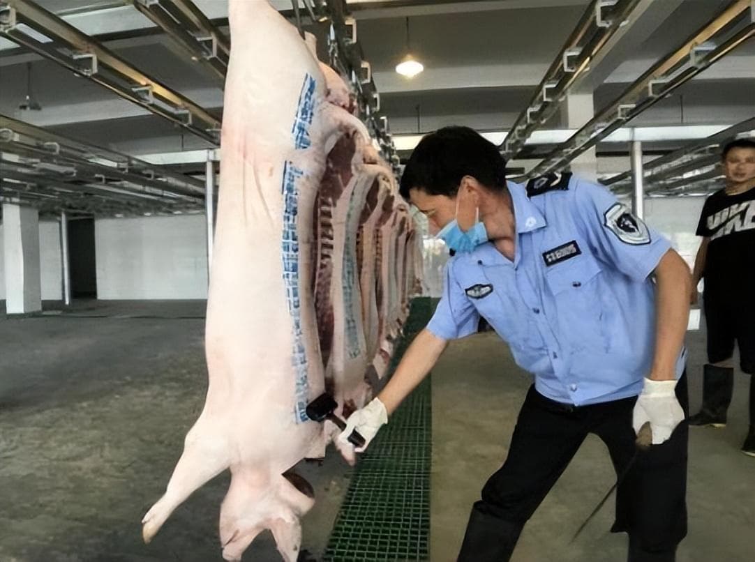 猪肉选购指南：合格与不合格印章全解析