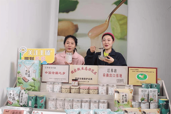 江苏宝应：直播助推荷藕产业发展