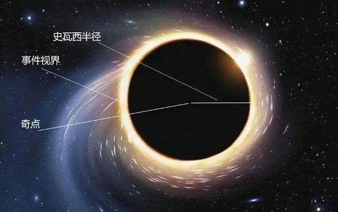 黑洞中心的奇点体积无限小密度无限大，到底由什么元素组成？