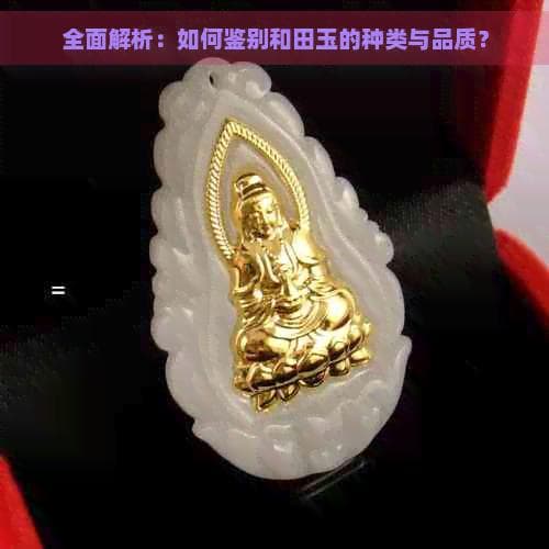 全面解析：如何鉴别和田玉的种类与品质？