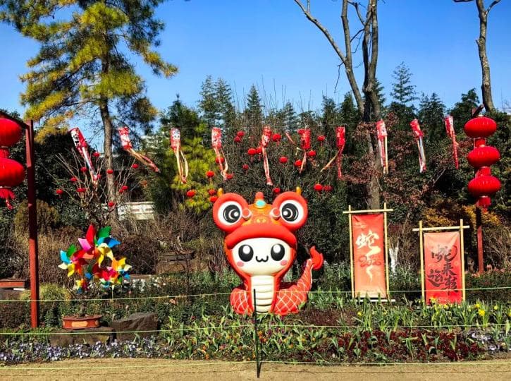 闵行公园赏花攻略来了！一年四季都有花期，快收藏