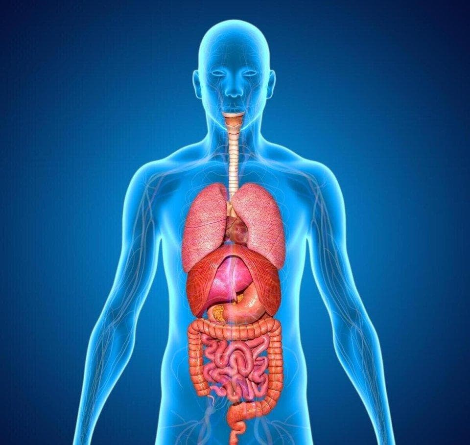 七点以后禁食带来的惊人变化，轻断食到底有没有用？