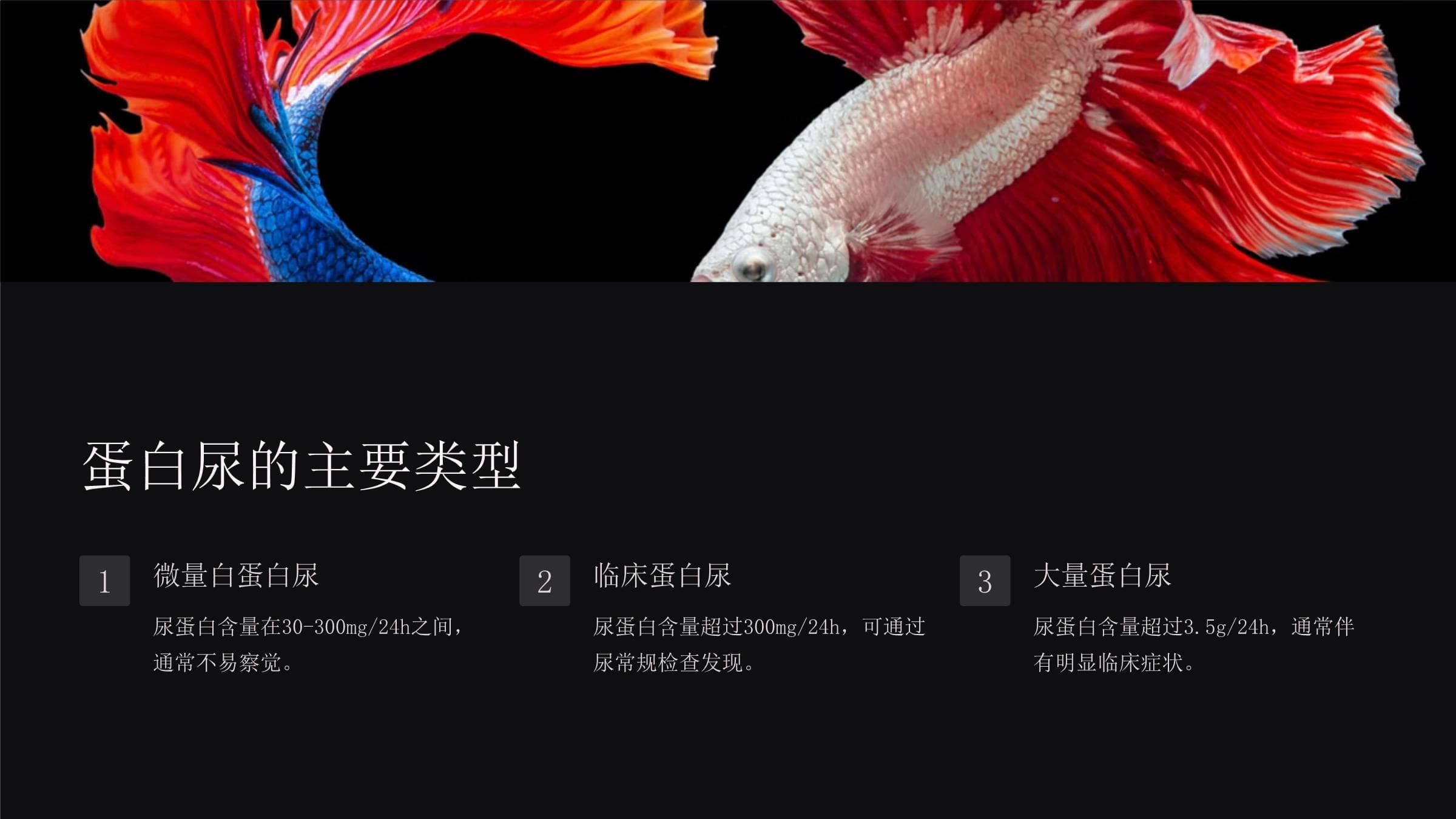 蛋白尿的诊断流程