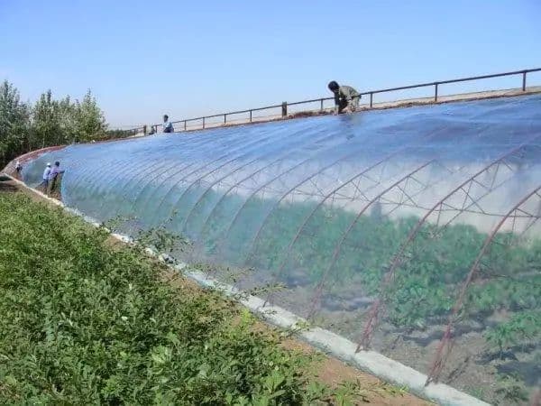 农业地膜的分类及作用