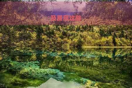 南京到丽江自驾游：全程路线、必经地点及费用攻略