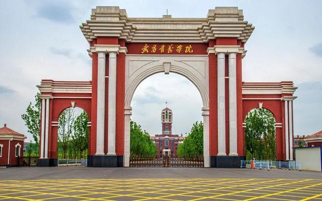 包揽前2，4所杀进全国前10，湖北民办高校赢麻了！