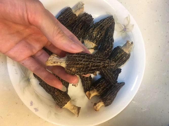 如何挑选优质的羊肚菌？