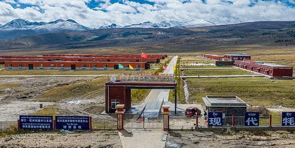 塘塘合作 同心圆梦——浙江钱塘对口支援理塘产业智力民生小记