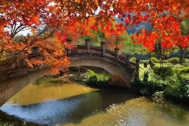 腊月十一，须知“4物不上桌，福气难进门”，传承民俗智慧