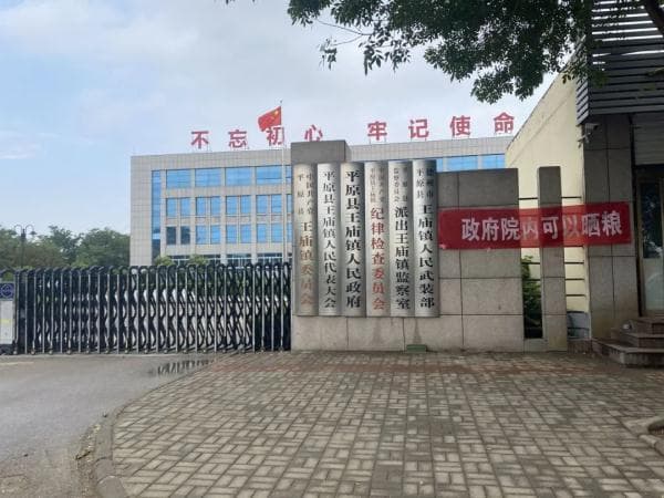 山东多地开放政府大院晒粮，暖心举措获全国点赞