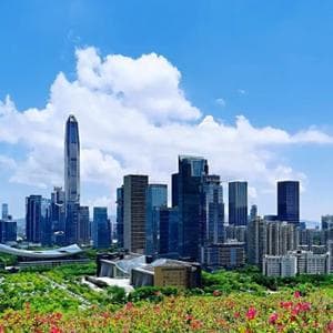 新手必读：如何使用AI技术打造自己的量化交易系统