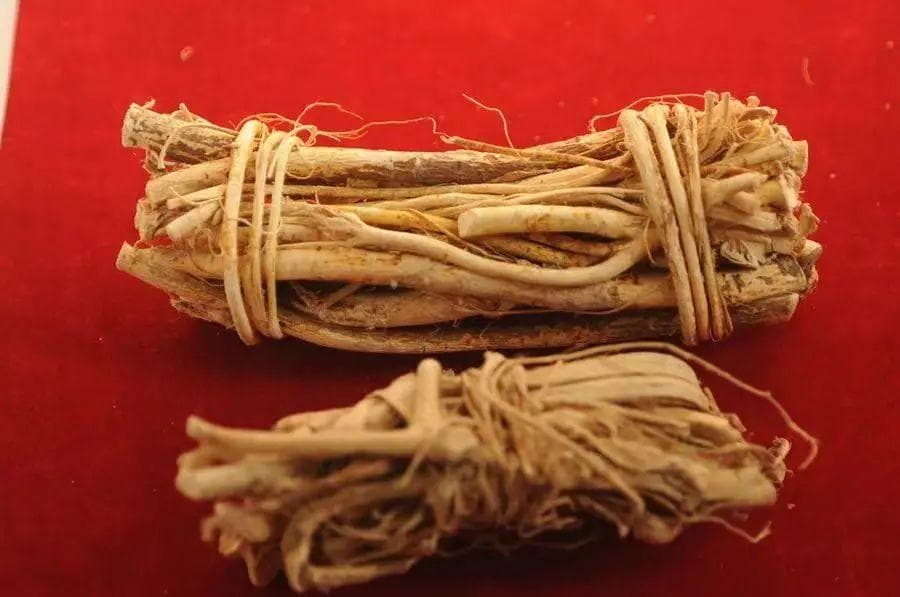 五指毛桃煲汤，最适合三类人群食用