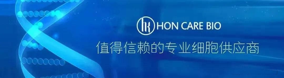 看“脸”时代？！面部抗衰新趋势——细胞抗衰与医美抗衰的区别！