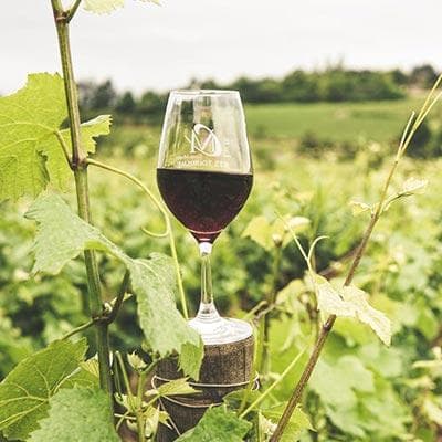 印度酒文化：从传统仪式到现代酒吧