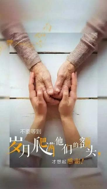 感恩教育缺失：孩子冷漠自私的根源与解决之道