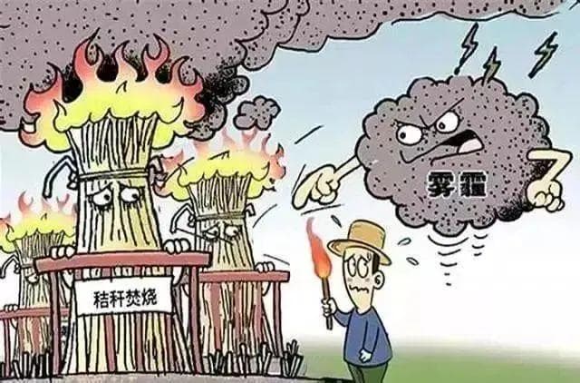 “秸”尽全力，防患未“燃”，守护绿色家园
