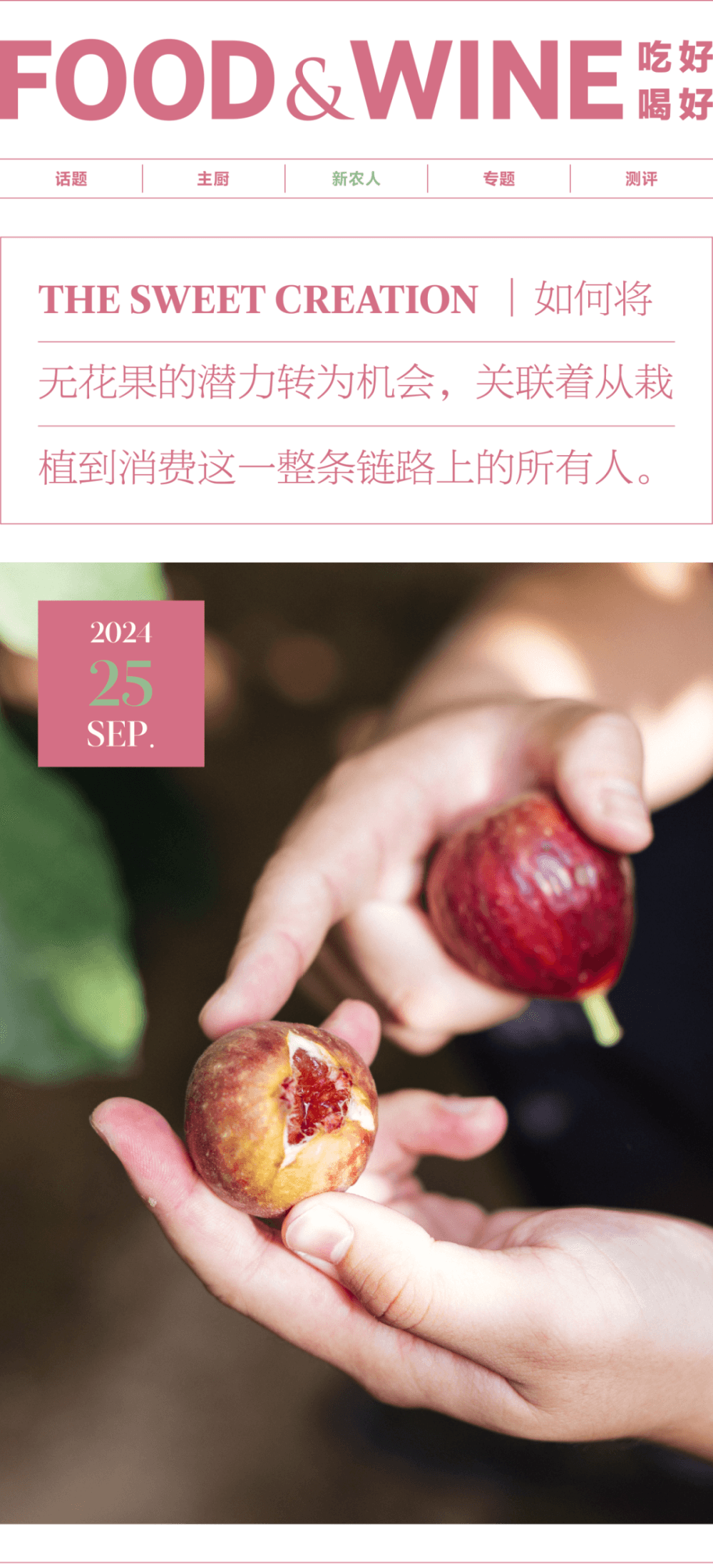 谁在塑造中国无花果的未来？