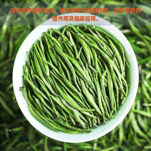溪黄草作用与功效，溪黄草作用及副作用，溪黄草的药理作用及临床应用