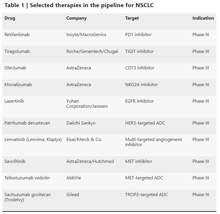 非小细胞肺癌（NSCLC）：药物治疗策略与市场全景解析